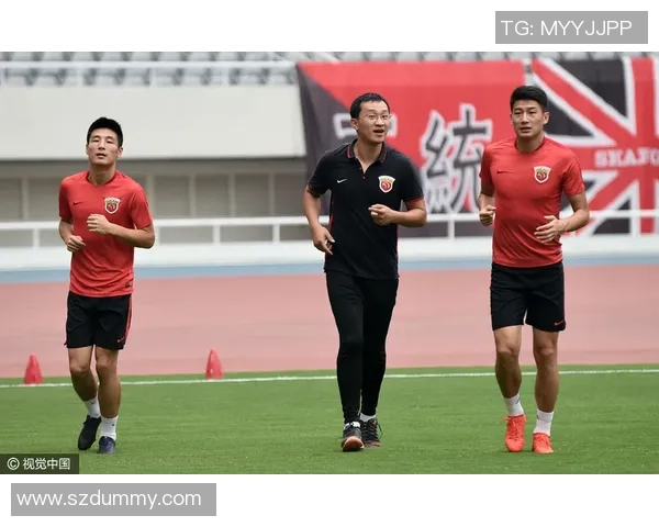 足球明星齐心助力武汉共克时艰传递希望与力量