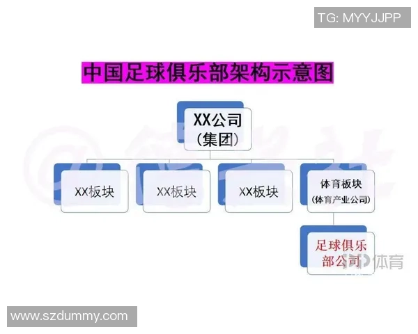 深圳足球队实力对比深度解析与未来发展趋势展望